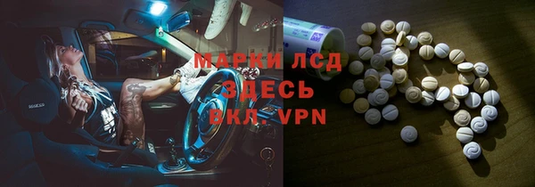spice Богородицк