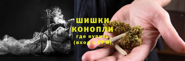 spice Богородицк