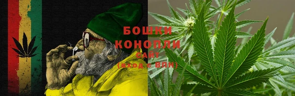 PSILOCYBIN Богданович