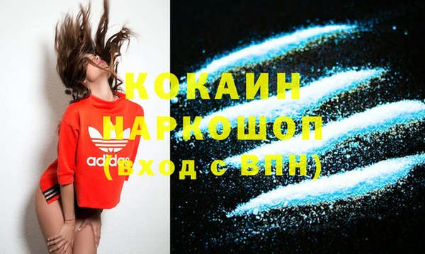 spice Богородицк